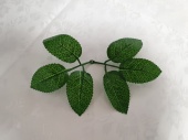 яРозетка из листьев розы Натуральная малая 6 листов 500шт от интернет-магазин Эдельвейс-Ритуал.RU
