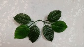 аРозетка из листьев розы малая 6 листов 500шт от интернет-магазин Эдельвейс-Ритуал.RU