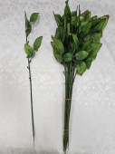62 Нога розы с 3-м листом Н-57см (20шт) от интернет-магазин Эдельвейс-Ритуал.RU