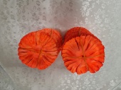 Высечка гвоздики (оранжевая) д-10,5см от интернет-магазин Эдельвейс-Ритуал.RU