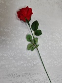 3650 Одиночная роза Жемчужина барх.Н-70см (10шт) от интернет-магазин Эдельвейс-Ритуал.RU