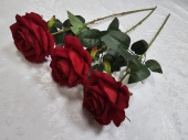 О3916 Одиночный роза Самуэль барх.Н-65см (125шт) 1000 от интернет-магазин Эдельвейс-Ритуал.RU