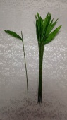 110 Нога с листом лилии Н-30см (100шт) от интернет-магазин Эдельвейс-Ритуал.RU