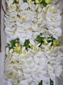 Э4128 Ветка Орхидеи Белая 9гол.Н-135см (32шт) от интернет-магазин Эдельвейс-Ритуал.RU