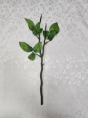 20 Нога розы 2ая с листом розы Н-43см (10шт)																														 от интернет-магазин Эдельвейс-Ритуал.RU