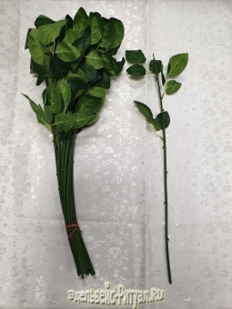32 Нога розы с 3-м листом Н-54см (20шт) от интернет-магазин Эдельвейс-Ритуал.RU