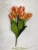 Б2652 Букет тюльпан Лорд резной 7гол.Н-48см (10шт) 340 от интернет-магазин Эдельвейс-Ритуал.RU