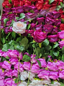 О3784 Одиночная роза Ориша барх.Н-55см (180шт) от интернет-магазин Эдельвейс-Ритуал.RU