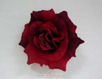 Роза Красота бархатная д-15см (20шт) от интернет-магазин Эдельвейс-Ритуал.RU